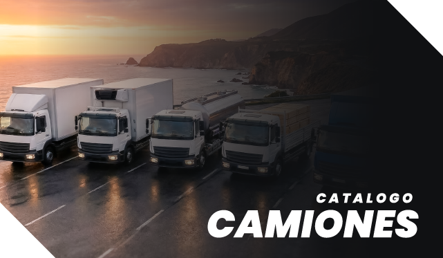 camion